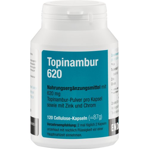 Topinambur 620 - PZN 01500176