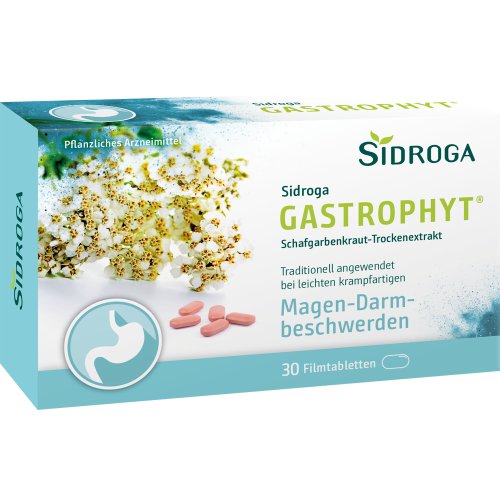 Sidroga GastroPhyt 250 mg Filmtabletten - PZN 17306588
