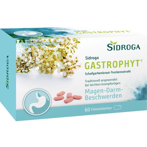 Sidroga GastroPhyt 250 mg Filmtabletten - PZN 17306594