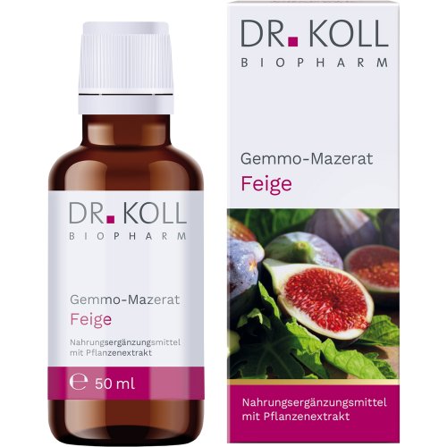 Gemmo-Mazerat Feige Dr. Koll Ficus carica - PZN 18468005