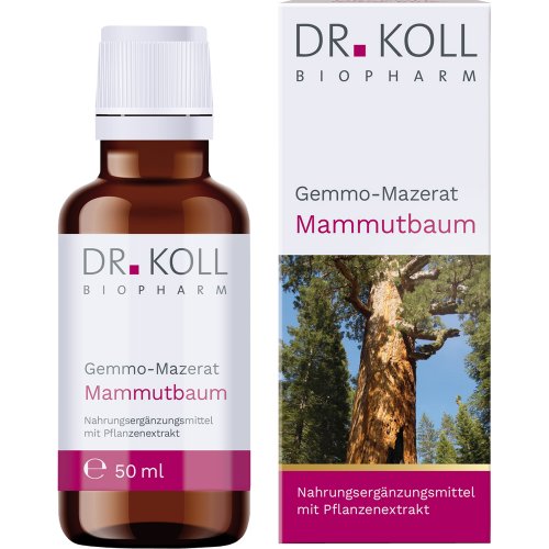Gemmo-Mazerat Mammutbaum Dr. Koll Sequoia gigantea - PZN 18468011