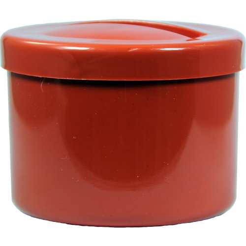 Prothesenbehälter Lachsrot - PZN 02566651