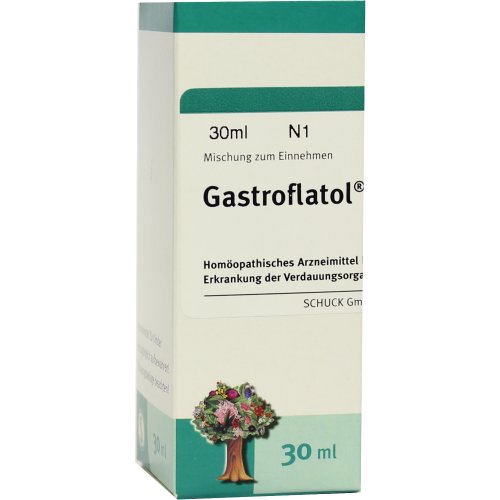 Gastroflatol - PZN 04044810