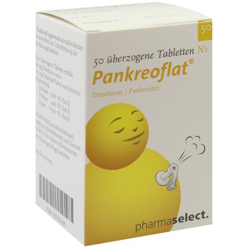 PANKREOFLAT - PZN 00762483