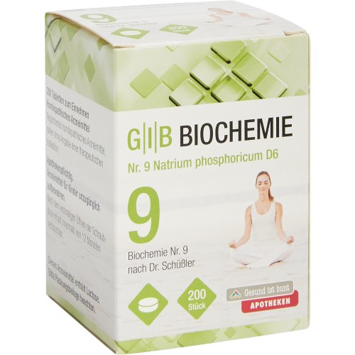 GIB Biochemie Nr.9 Natrium phosphoricum D 6 - PZN 08481559