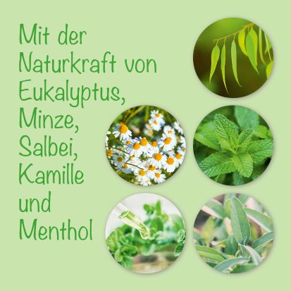 Hamburger Lösung - PZN 16137072