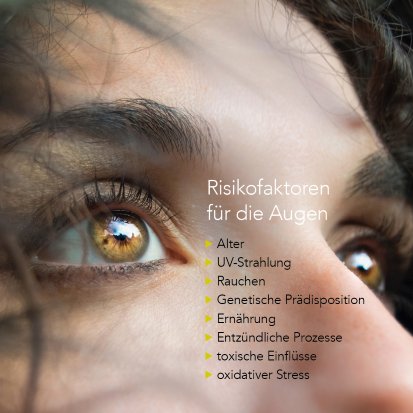 FucoVision - PZN 17849219