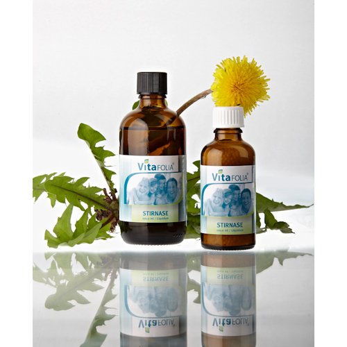 Vitafolia Stirnase Tropfen - PZN 09608482