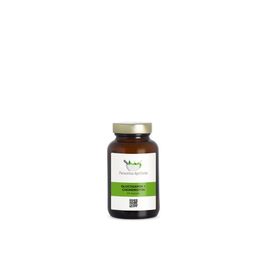 GLUCOSAMIN + CHONDROITIN - PZN 08000637