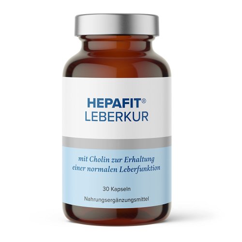 Hepafit Leberkur - PZN 08002889
