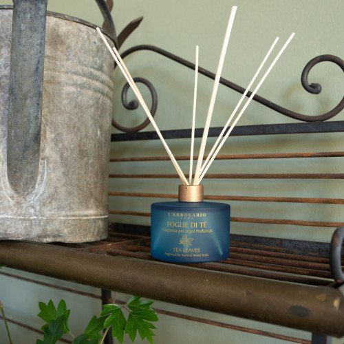 Foglie di Té Raumduft mit Holzstäbschen - PZN 8034168