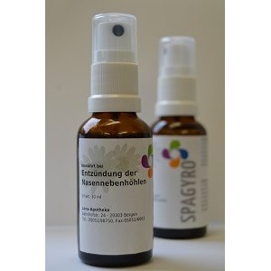 Spagyrik Entzündung der Nasennebenhöhlen Spray - PZN 08000502