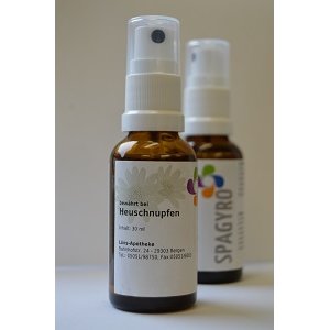 Spagyrik Heuschnupfen Spray - PZN 08002317