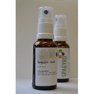 Spagyrik Spagyro - Gast Spray - PZN 08002978