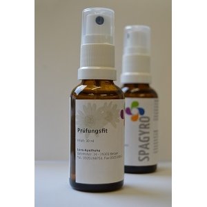 Spagyrik Prüfungsfit Spray - PZN 08003297