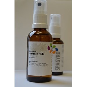 Spagyrik Arthrose forte Spray - PZN 08004405